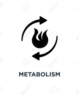 metabolism icon. burn concept symbol design, vector illustration